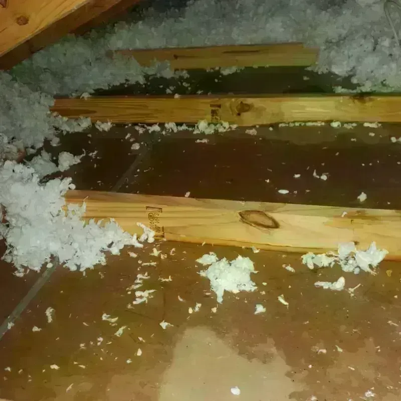 Attic Water Damage in Pensacola, FL