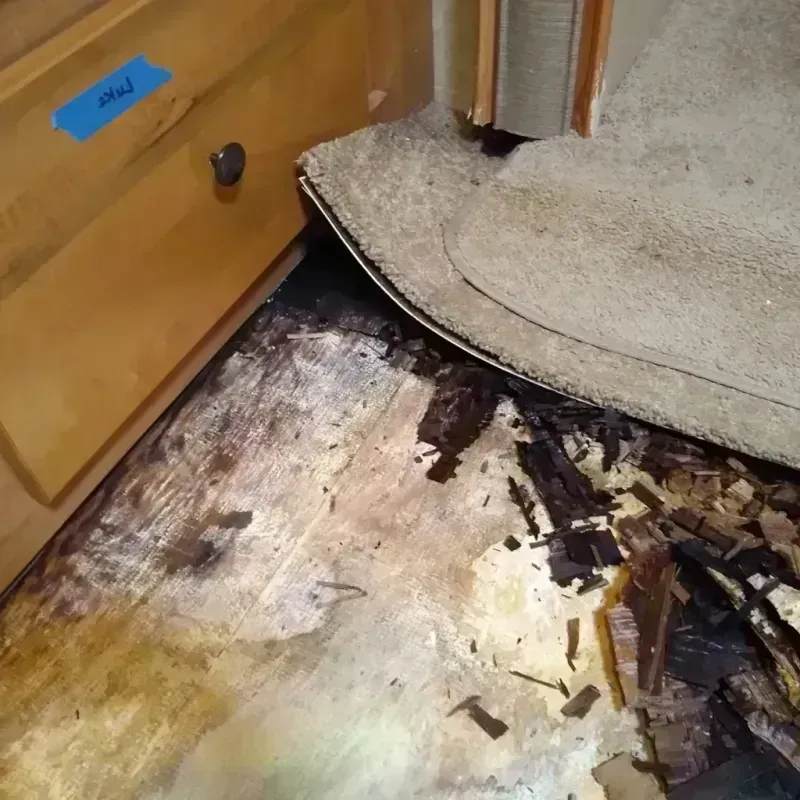 Wood Floor Water Damage in Pensacola, FL